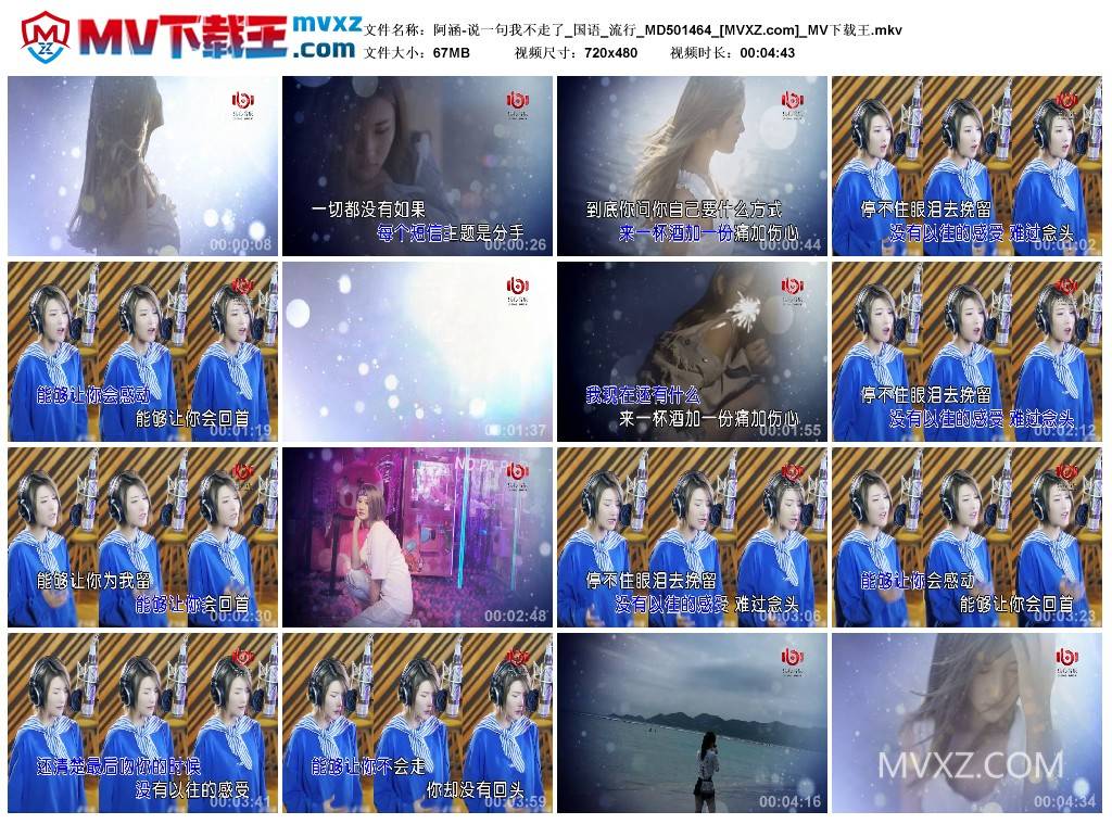 阿涵-说一句我不走了_国语_流行_MD501464